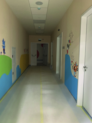 Высокотехнологичный многопрофильный медицинский центр (ВММК)