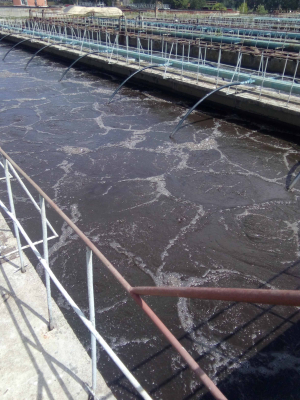 Реконструкция очистных сооружений КПУП &quot;ГомельВОДОКАНАЛ&quot;