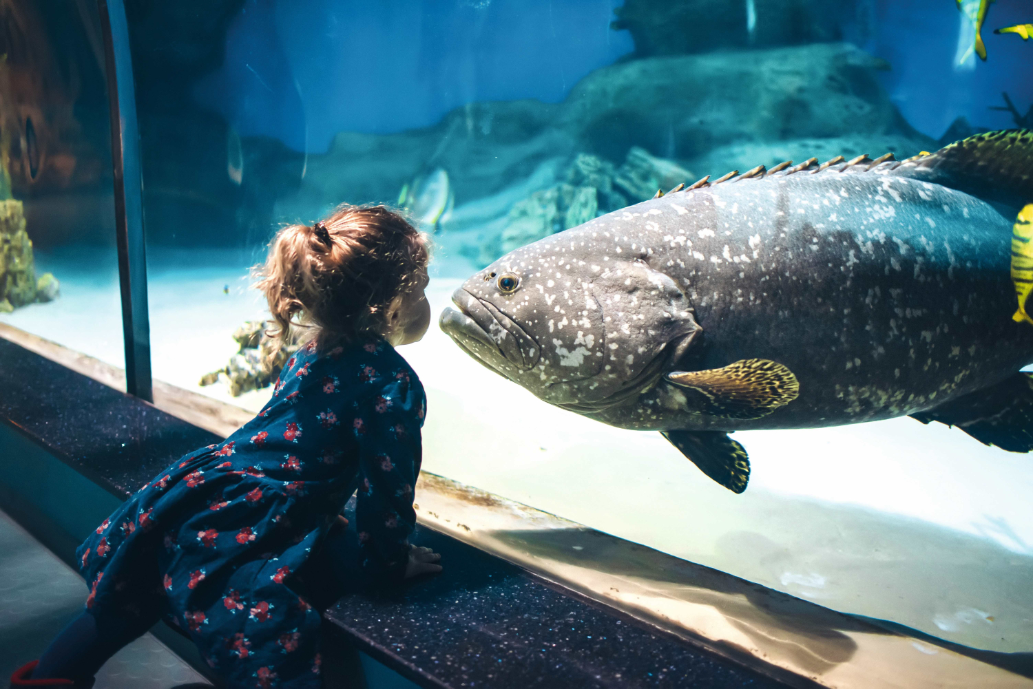 Центр океанографии и морской биологии «Москвариум»